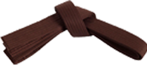 Brown belt
