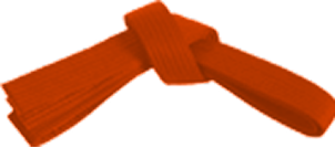 Orange belt