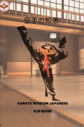 IKAK Wisdom V2 Cover